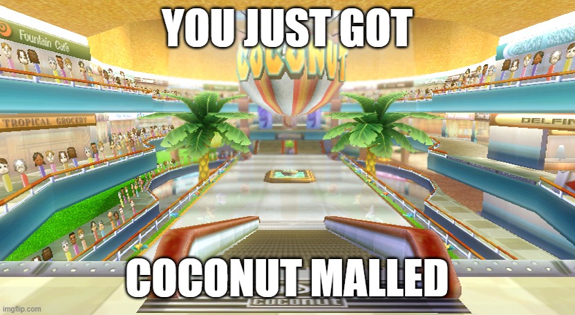 SEND THIS TO YOUR FRIENDS TO TOTALLY MALL THEM | YOU JUST GOT; COCONUT MALLED | image tagged in coconut mall | made w/ Imgflip meme maker