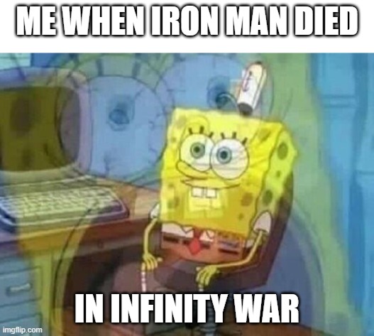 Internal screaming | ME WHEN IRON MAN DIED; IN INFINITY WAR | image tagged in internal screaming | made w/ Imgflip meme maker