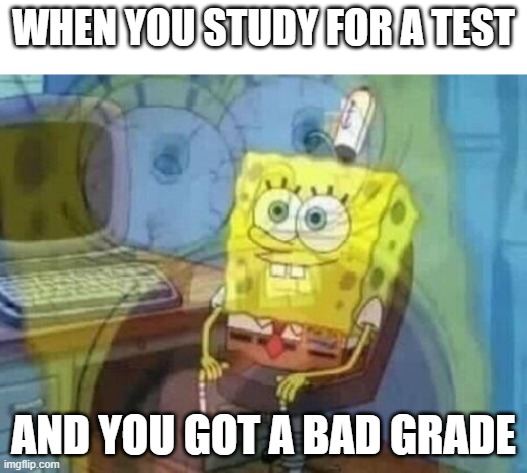 Internal screaming | WHEN YOU STUDY FOR A TEST; AND YOU GOT A BAD GRADE | image tagged in internal screaming | made w/ Imgflip meme maker