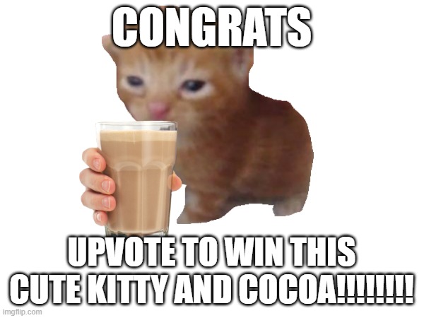 hey whats this a kitty and COCOA | CONGRATS; UPVOTE TO WIN THIS CUTE KITTY AND COCOA!!!!!!!! | image tagged in kitten | made w/ Imgflip meme maker