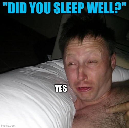 Lies... | "DID YOU SLEEP WELL?"; YES | image tagged in limmy waking up | made w/ Imgflip meme maker