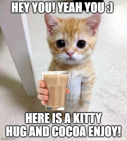 enjoy the kitten | HEY YOU! YEAH YOU :); HERE IS A KITTY HUG AND COCOA ENJOY! | image tagged in memes,cute cat | made w/ Imgflip meme maker