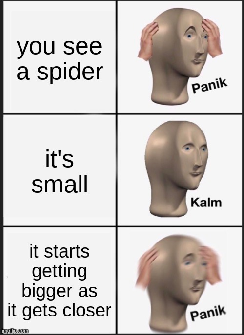 Panik | you see a spider; it's small; it starts getting bigger as it gets closer | image tagged in memes,panik kalm panik | made w/ Imgflip meme maker