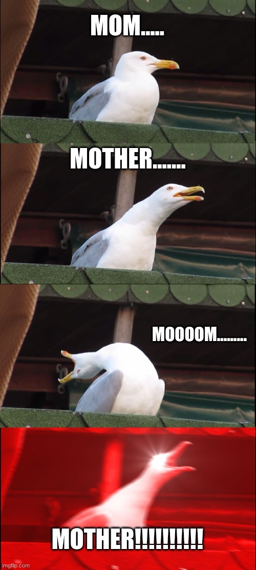 Mother!!! | MOM..... MOTHER....... MOOOOM......... MOTHER!!!!!!!!!! | image tagged in memes,inhaling seagull | made w/ Imgflip meme maker