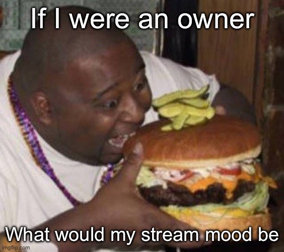 borgar | If I were an owner; What would my stream mood be | image tagged in borgar | made w/ Imgflip meme maker