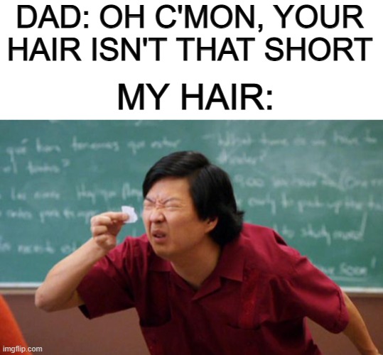 Haircuts are the worst DX | DAD: OH C'MON, YOUR HAIR ISN'T THAT SHORT; MY HAIR: | image tagged in blank white template,tiny piece of paper | made w/ Imgflip meme maker