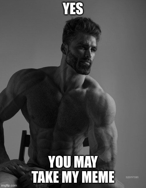 Giga Chad | YES; YOU MAY TAKE MY MEME | image tagged in giga chad | made w/ Imgflip meme maker