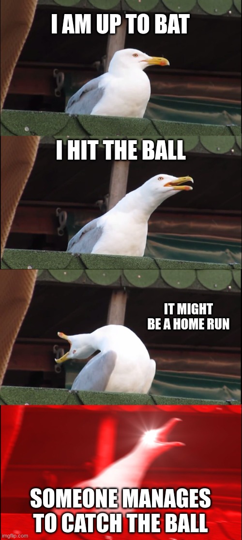 Inhaling Seagull | I AM UP TO BAT; I HIT THE BALL; IT MIGHT BE A HOME RUN; SOMEONE MANAGES TO CATCH THE BALL | image tagged in memes,inhaling seagull | made w/ Imgflip meme maker