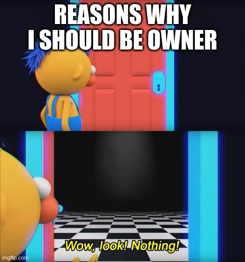 Wow, look! Nothing! | REASONS WHY I SHOULD BE OWNER | image tagged in wow look nothing | made w/ Imgflip meme maker