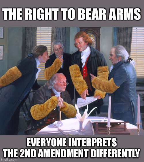 right to bear arms | THE RIGHT TO BEAR ARMS; EVERYONE INTERPRETS THE 2ND AMENDMENT DIFFERENTLY | image tagged in right to bear arms | made w/ Imgflip meme maker