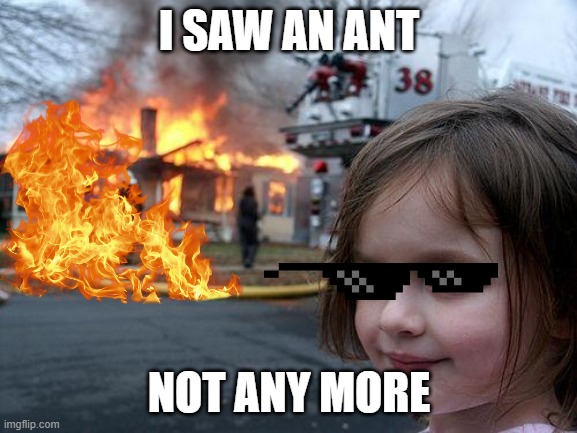 no more ant | I SAW AN ANT; NOT ANY MORE | image tagged in memes,disaster girl | made w/ Imgflip meme maker
