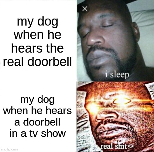 doggos | my dog when he hears the real doorbell; my dog when he hears a doorbell in a tv show | image tagged in memes,sleeping shaq | made w/ Imgflip meme maker