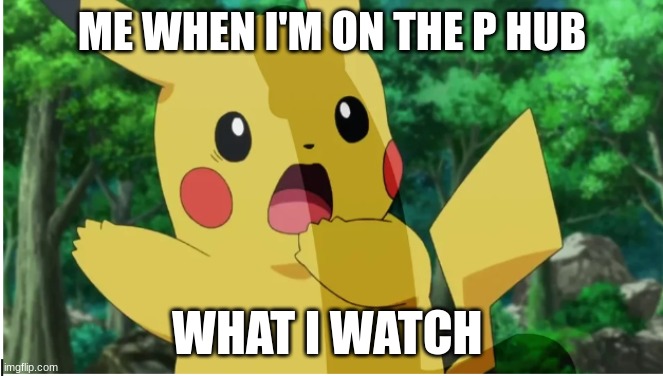 i don't know why i do this | ME WHEN I'M ON THE P HUB; WHAT I WATCH | image tagged in lmao | made w/ Imgflip meme maker