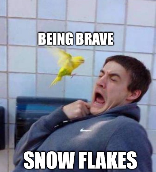 BEING BRAVE; SNOW FLAKES | made w/ Imgflip meme maker