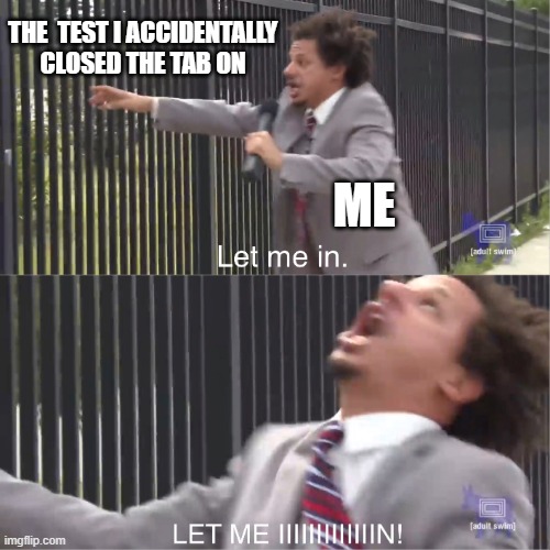 ah the pains of online school | THE  TEST I ACCIDENTALLY CLOSED THE TAB ON; ME | image tagged in let me in | made w/ Imgflip meme maker