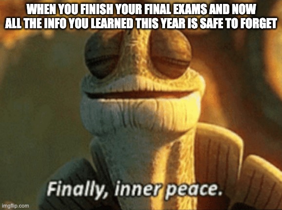 Finally, inner peace. | WHEN YOU FINISH YOUR FINAL EXAMS AND NOW ALL THE INFO YOU LEARNED THIS YEAR IS SAFE TO FORGET | image tagged in finally inner peace,memes,school,exams,tests | made w/ Imgflip meme maker