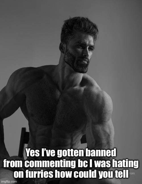 Aaaasss | Yes I’ve gotten banned from commenting bc I was hating on furries how could you tell | image tagged in giga chad | made w/ Imgflip meme maker