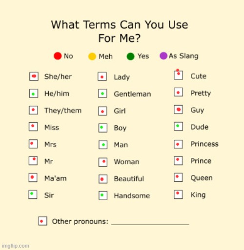 Pronouns Sheet | image tagged in pronouns sheet | made w/ Imgflip meme maker