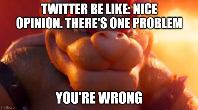 Twitter be like | TWITTER BE LIKE: NICE OPINION. THERE'S ONE PROBLEM; YOU'RE WRONG | image tagged in smug movie bowser | made w/ Imgflip meme maker