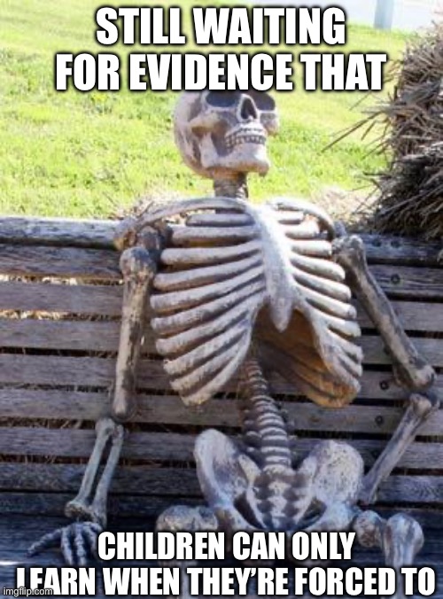 Waiting Skeleton | STILL WAITING FOR EVIDENCE THAT; CHILDREN CAN ONLY LEARN WHEN THEY’RE FORCED TO | image tagged in memes,waiting skeleton,coercion,children,SchoolSystemBroke | made w/ Imgflip meme maker