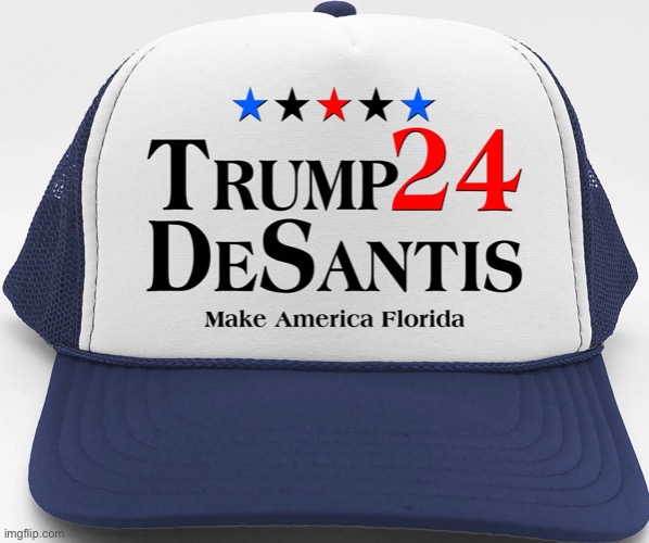 Trump DeSantis Hat | image tagged in trump desantis hat | made w/ Imgflip meme maker