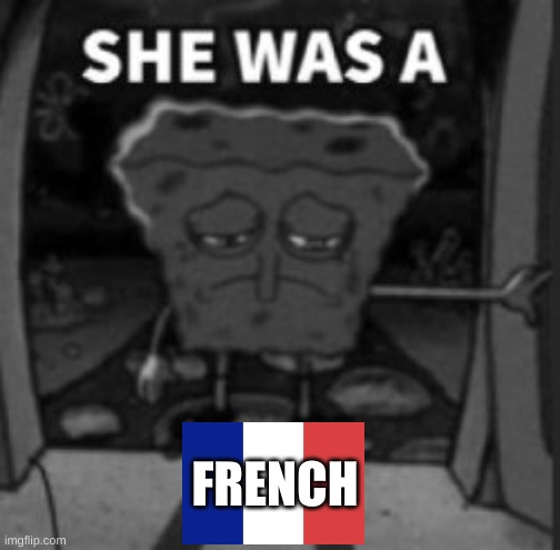 FRENCH | made w/ Imgflip meme maker