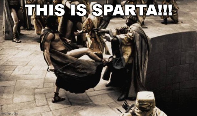 madness - this is sparta | THIS IS SPARTA!!! | image tagged in madness - this is sparta | made w/ Imgflip meme maker