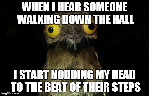 Don't Judge... | WHEN I HEAR SOMEONE WALKING DOWN THE HALL I START NODDING MY HEAD TO THE BEAT OF THEIR STEPS | image tagged in memes,weird stuff i do potoo | made w/ Imgflip meme maker