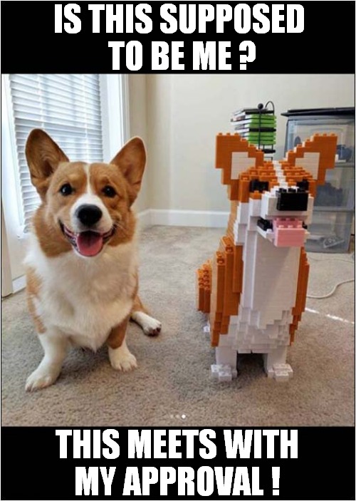 Immortalized In Lego ! | IS THIS SUPPOSED
 TO BE ME ? THIS MEETS WITH
MY APPROVAL ! | image tagged in dogs,is it me,lego | made w/ Imgflip meme maker