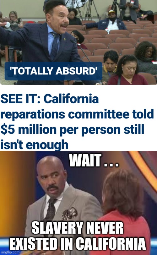 No Money for Nuttin | WAIT . . . SLAVERY NEVER EXISTED IN CALIFORNIA | image tagged in steve harvey say what girl,liberals,leftists,newsom,democrats | made w/ Imgflip meme maker