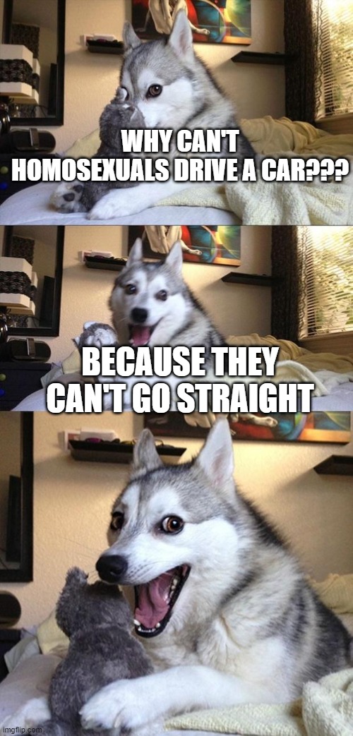 Bad Joke Dog | WHY CAN'T HOMOSEXUALS DRIVE A CAR??? BECAUSE THEY CAN'T GO STRAIGHT | image tagged in bad joke dog | made w/ Imgflip meme maker