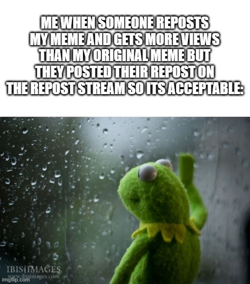 Can't complain... But still- ;~; | ME WHEN SOMEONE REPOSTS MY MEME AND GETS MORE VIEWS THAN MY ORIGINAL MEME BUT THEY POSTED THEIR REPOST ON THE REPOST STREAM SO ITS ACCEPTABLE: | image tagged in blank white template,kermit window | made w/ Imgflip meme maker