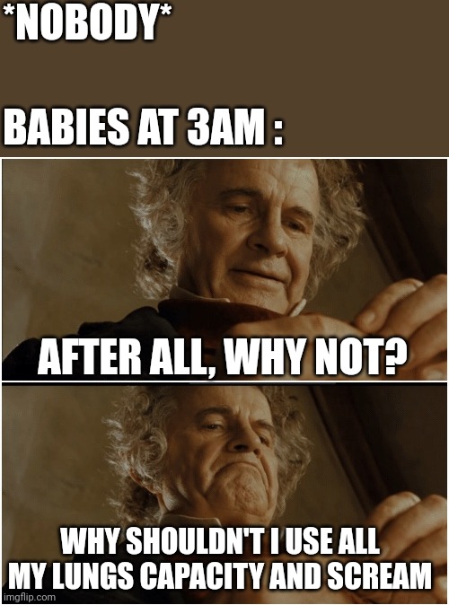 Why? Why not? | *NOBODY*; BABIES AT 3AM :; AFTER ALL, WHY NOT? WHY SHOULDN'T I USE ALL MY LUNGS CAPACITY AND SCREAM | image tagged in bilbo - why shouldn t i keep it,fun,funny,3am,sleep,meme | made w/ Imgflip meme maker