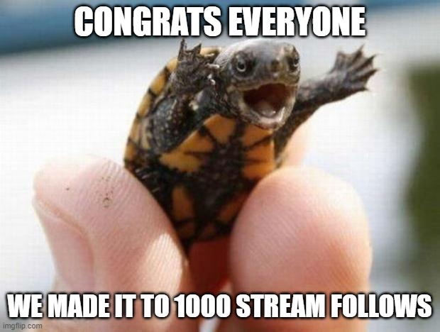 happy baby turtle | CONGRATS EVERYONE; WE MADE IT TO 1000 STREAM FOLLOWS | image tagged in happy baby turtle | made w/ Imgflip meme maker