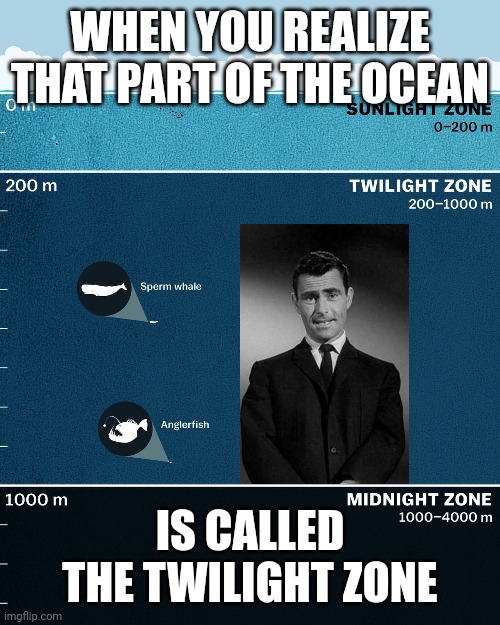 WHEN YOU REALIZE THAT PART OF THE OCEAN; IS CALLED THE TWILIGHT ZONE | image tagged in the twilight zone,ocean | made w/ Imgflip meme maker