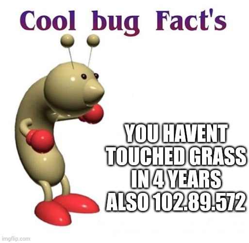 Cool Bug Facts | YOU HAVENT TOUCHED GRASS IN 4 YEARS
ALSO 102.89.572 | image tagged in cool bug facts | made w/ Imgflip meme maker