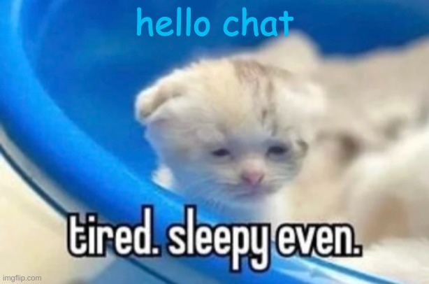 sleepy | hello chat | image tagged in sleepy | made w/ Imgflip meme maker