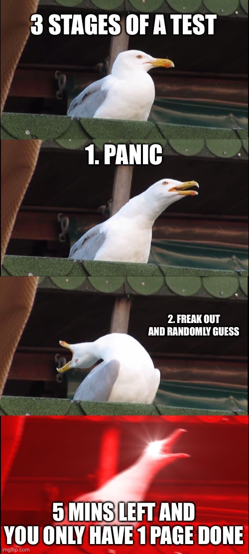 3 stages of a test | 3 STAGES OF A TEST; 1. PANIC; 2. FREAK OUT AND RANDOMLY GUESS; 5 MINS LEFT AND YOU ONLY HAVE 1 PAGE DONE | image tagged in memes,inhaling seagull | made w/ Imgflip meme maker