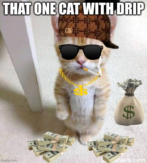 Cute Cat Meme | THAT ONE CAT WITH DRIP | image tagged in memes,cute cat | made w/ Imgflip meme maker