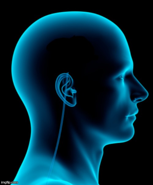 No brain | image tagged in no brain | made w/ Imgflip meme maker