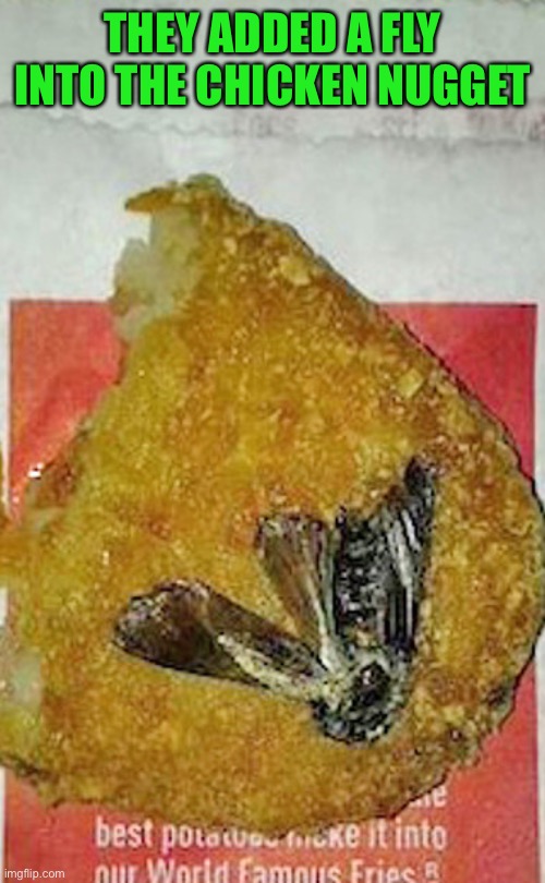 THEY ADDED A FLY INTO THE CHICKEN NUGGET | image tagged in gross,food,memes | made w/ Imgflip meme maker