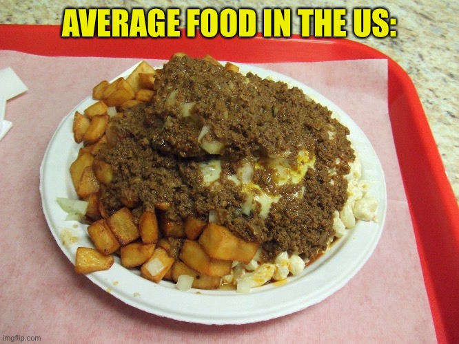 AVERAGE FOOD IN THE US: | image tagged in gross,food,memes | made w/ Imgflip meme maker