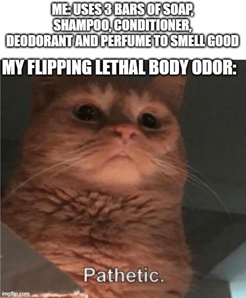 No matter what I do my body always smells bad DDDD: | ME: USES 3 BARS OF SOAP, SHAMPOO, CONDITIONER, DEODORANT AND PERFUME TO SMELL GOOD; MY FLIPPING LETHAL BODY ODOR: | image tagged in pathetic cat,smelly,memes,skinner pathetic,relatable memes,painful | made w/ Imgflip meme maker
