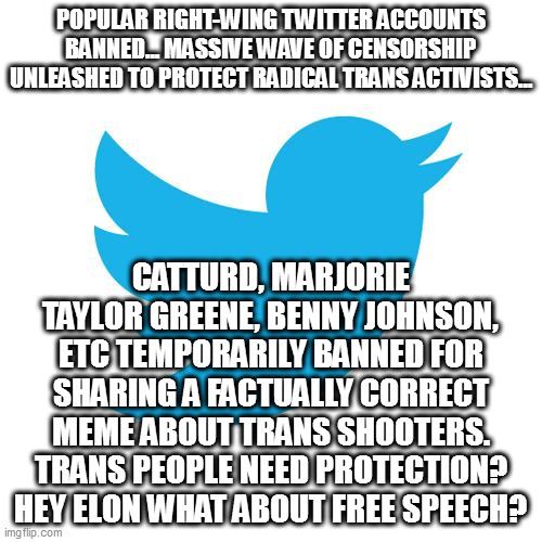you can't talk about trans people even after one kills three kids and three adults | POPULAR RIGHT-WING TWITTER ACCOUNTS BANNED… MASSIVE WAVE OF CENSORSHIP UNLEASHED TO PROTECT RADICAL TRANS ACTIVISTS…; CATTURD, MARJORIE TAYLOR GREENE, BENNY JOHNSON, ETC TEMPORARILY BANNED FOR SHARING A FACTUALLY CORRECT MEME ABOUT TRANS SHOOTERS. TRANS PEOPLE NEED PROTECTION? HEY ELON WHAT ABOUT FREE SPEECH? | image tagged in twitter birds says | made w/ Imgflip meme maker
