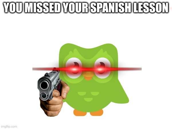 duoligo meme | YOU MISSED YOUR SPANISH LESSON | image tagged in memes,duolingo | made w/ Imgflip meme maker