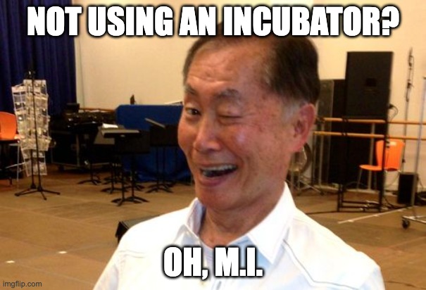 maternal incubation | NOT USING AN INCUBATOR? OH, M.I. | image tagged in winking george takei | made w/ Imgflip meme maker