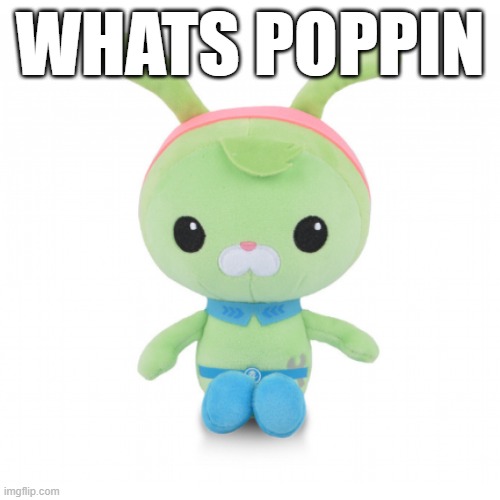 da gorl | WHATS POPPIN | image tagged in da gorl | made w/ Imgflip meme maker