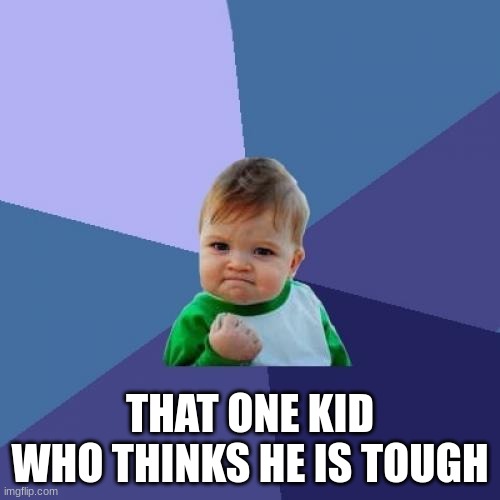 Success Kid | THAT ONE KID WHO THINKS HE IS TOUGH | image tagged in memes,success kid | made w/ Imgflip meme maker