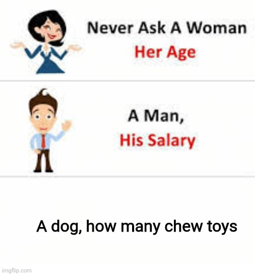 Never ask | A dog, how many chew toys | image tagged in never ask a woman her age | made w/ Imgflip meme maker