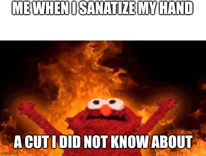 elmo fire | ME WHEN I SANATIZE MY HAND; A CUT I DID NOT KNOW ABOUT | image tagged in elmo fire | made w/ Imgflip meme maker